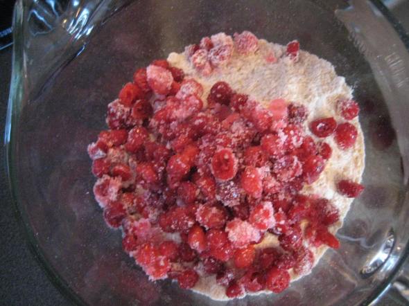 Cranberries in Flour Mixture